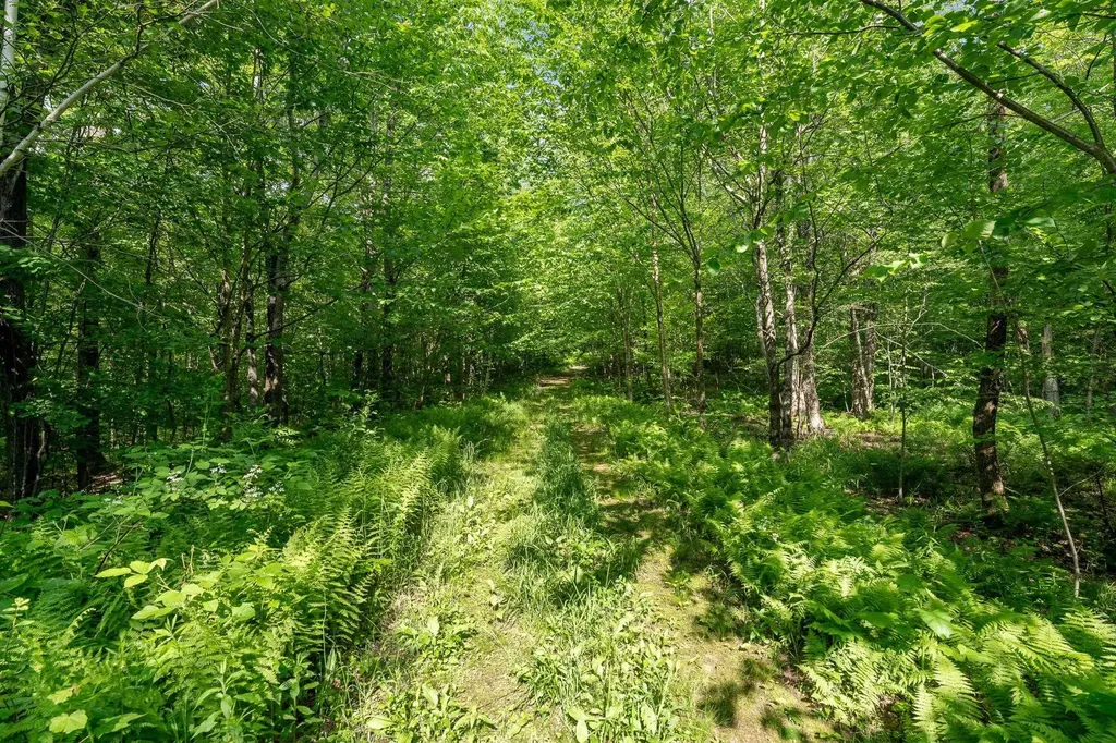 115 Stone Hill Road Bolton VT 05477