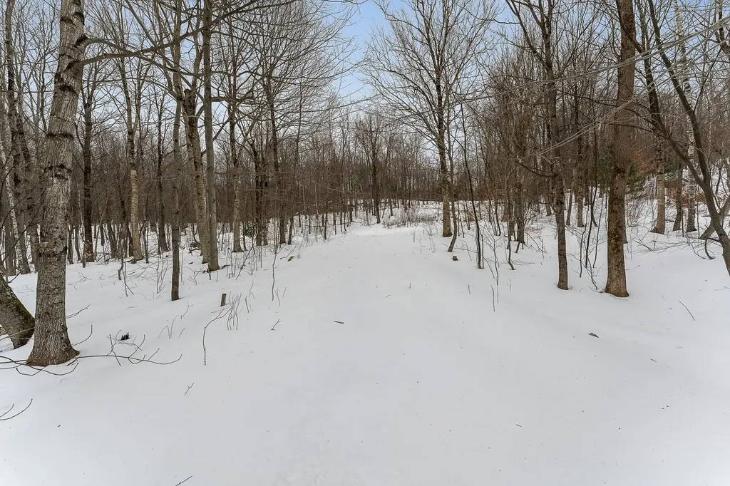 115 Stone Hill Road Bolton VT 05477