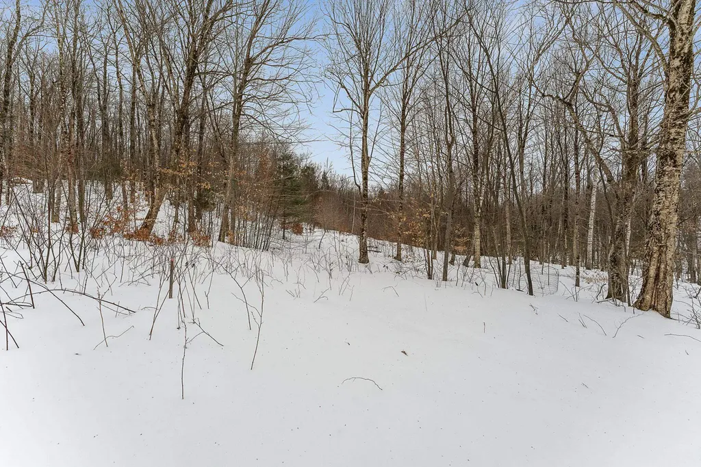 115 Stone Hill Road Bolton VT 05477