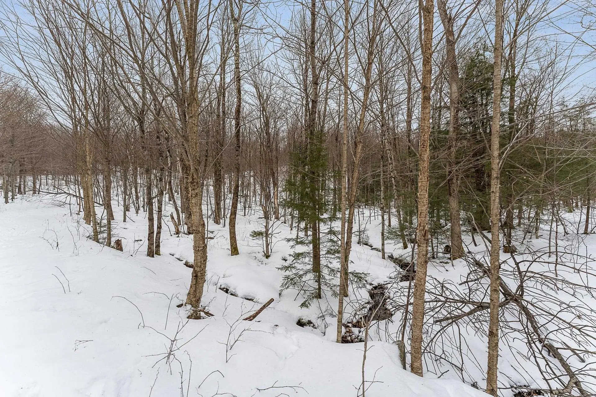 115 Stone Hill Road Bolton VT 05477