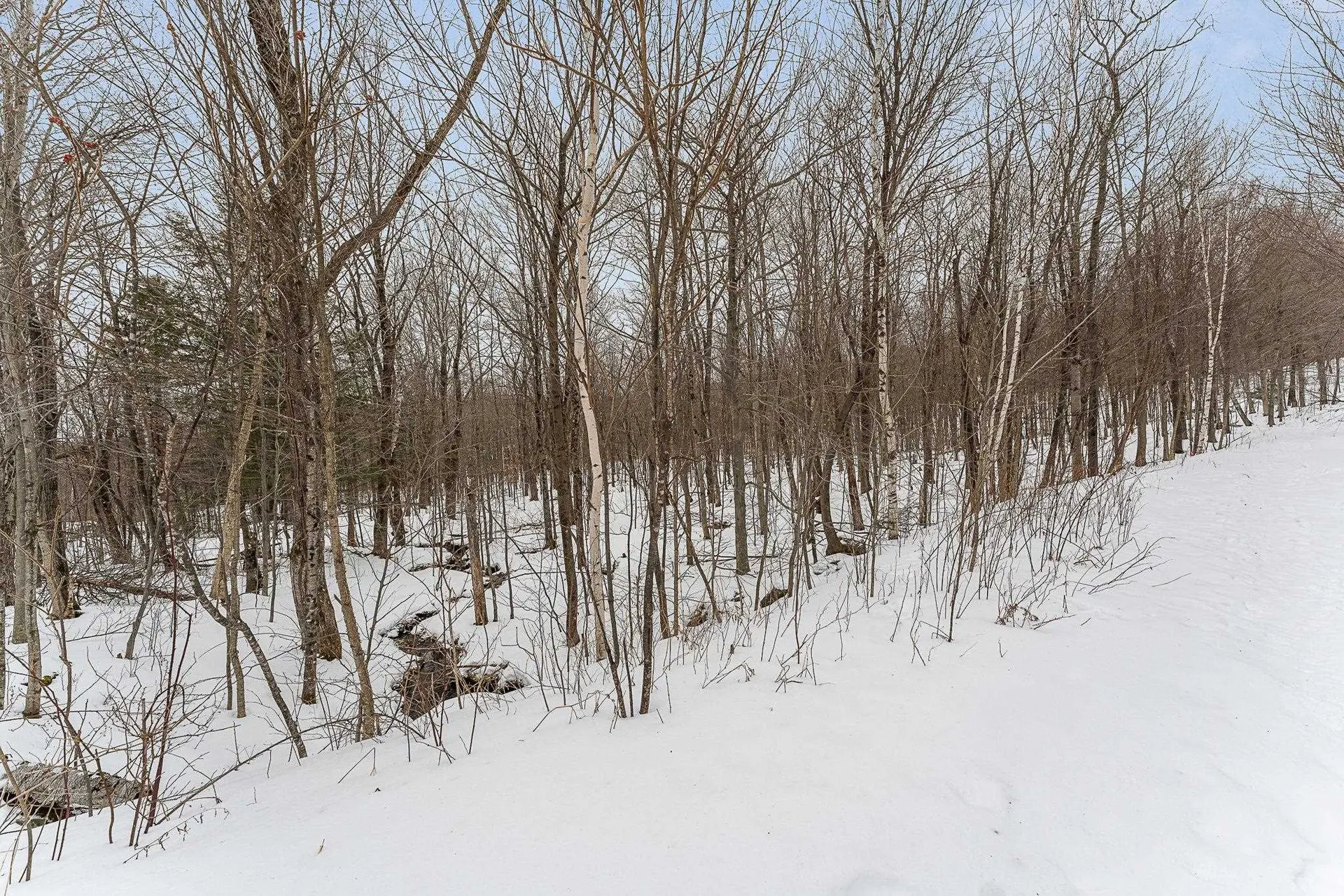 115 Stone Hill Road Bolton VT 05477