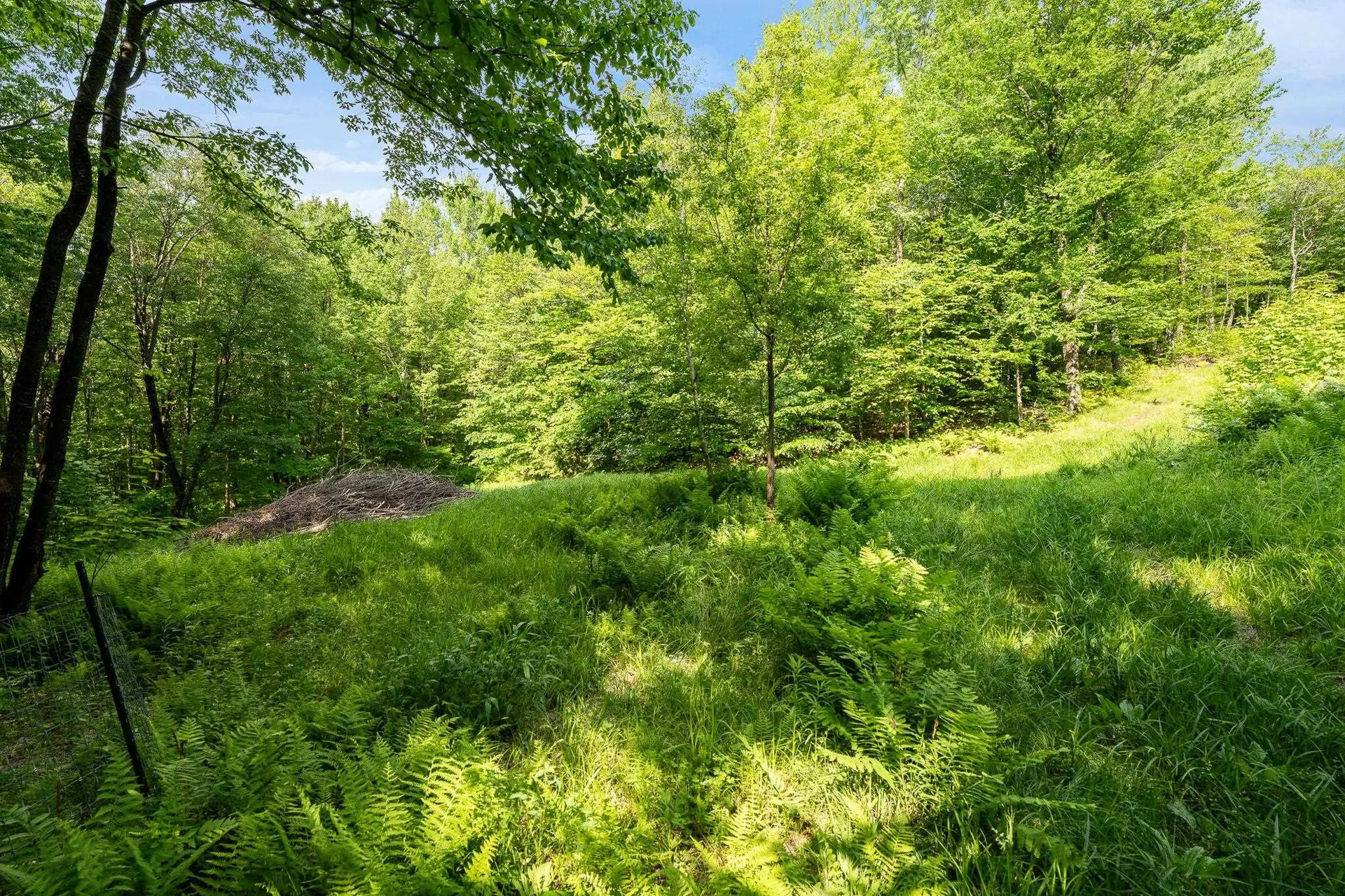 115 Stone Hill Road Bolton VT 05477