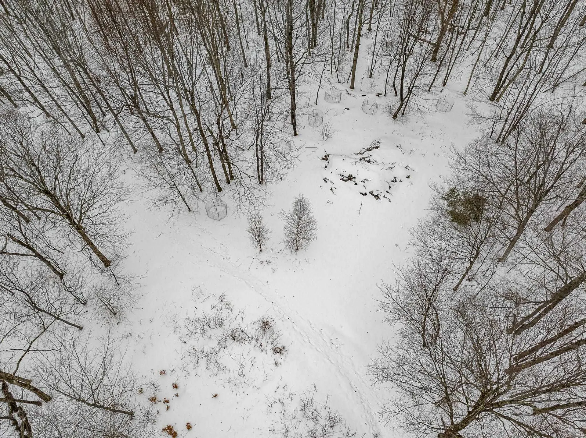 115 Stone Hill Road Bolton VT 05477