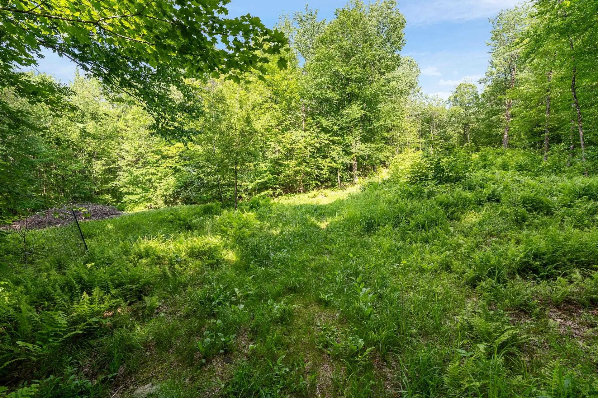 115 Stone Hill Road Bolton VT 05477