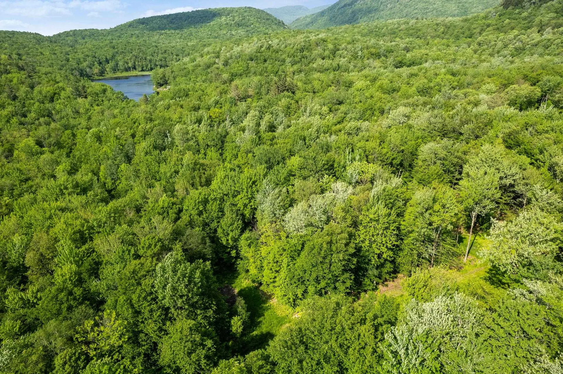 115 Stone Hill Road Bolton VT 05477