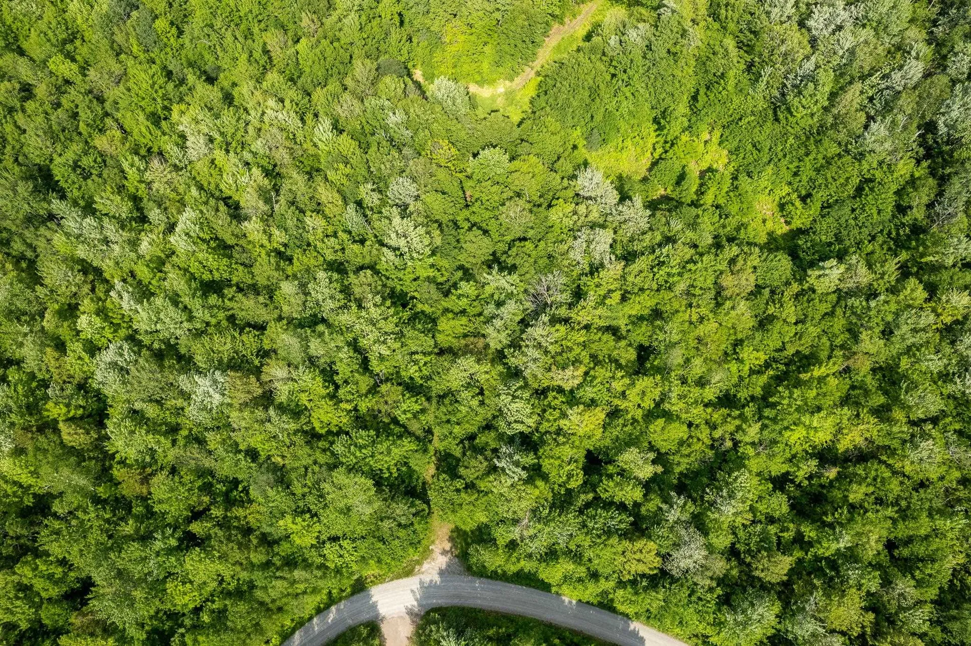 115 Stone Hill Road Bolton VT 05477