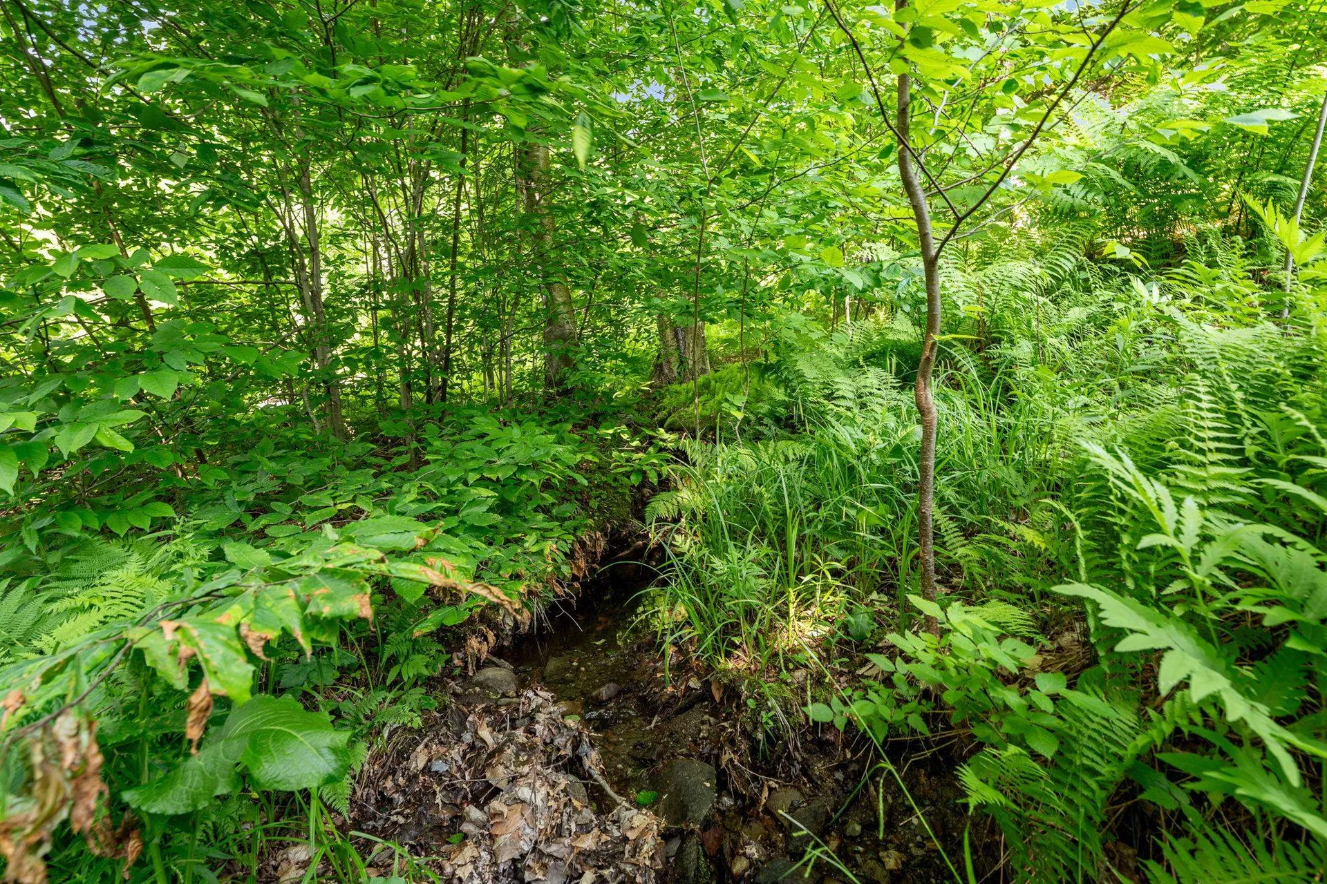 115 Stone Hill Road Bolton VT 05477