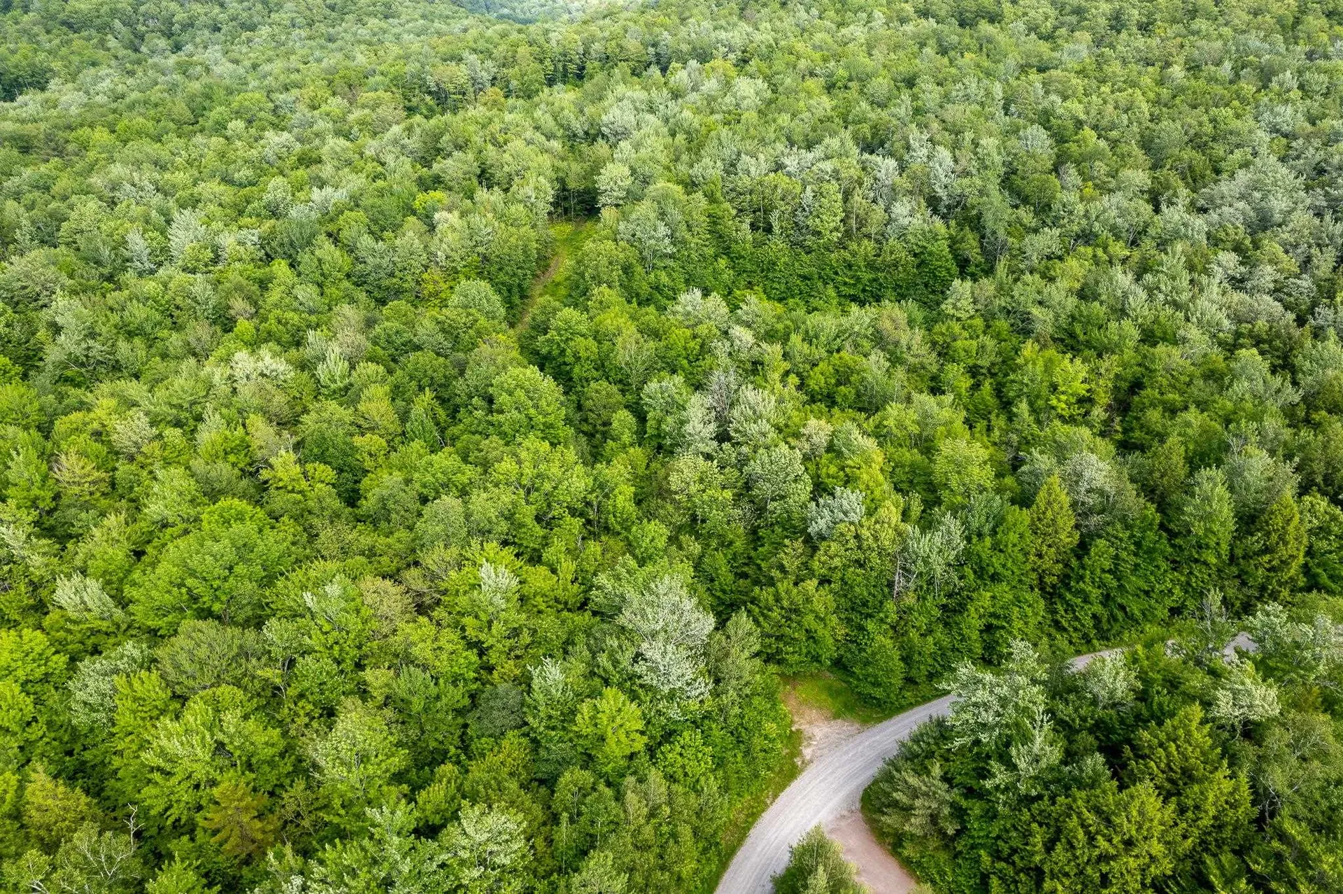 115 Stone Hill Road Bolton VT 05477