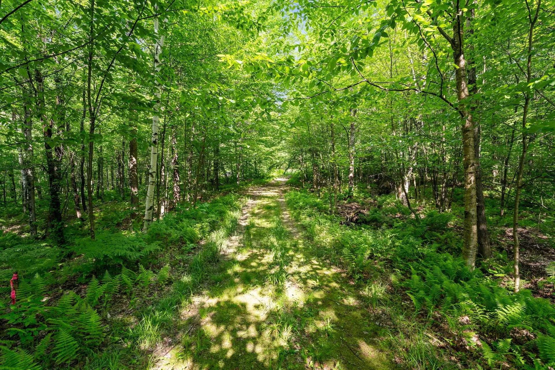 115 Stone Hill Road Bolton VT 05477