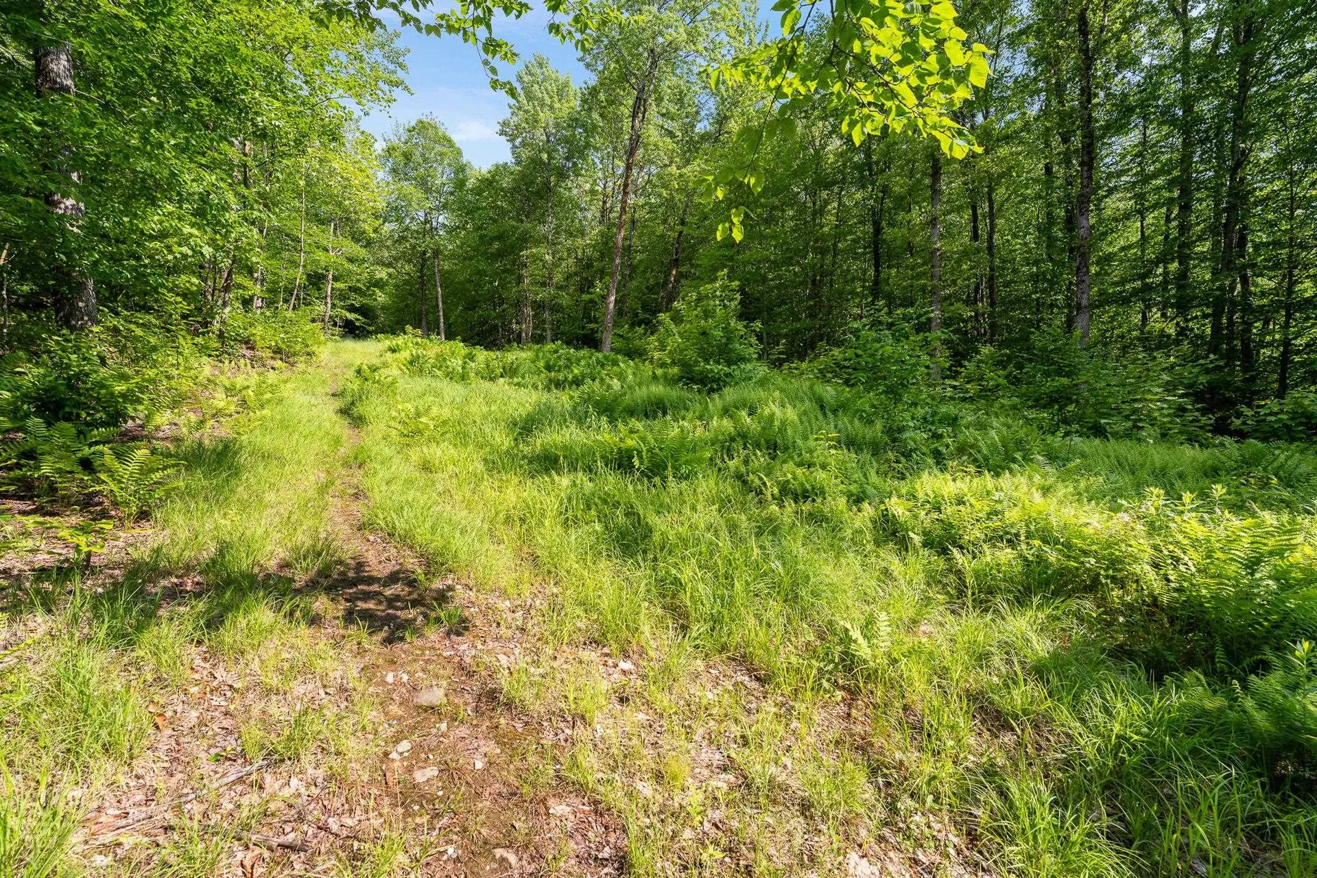 115 Stone Hill Road Bolton VT 05477