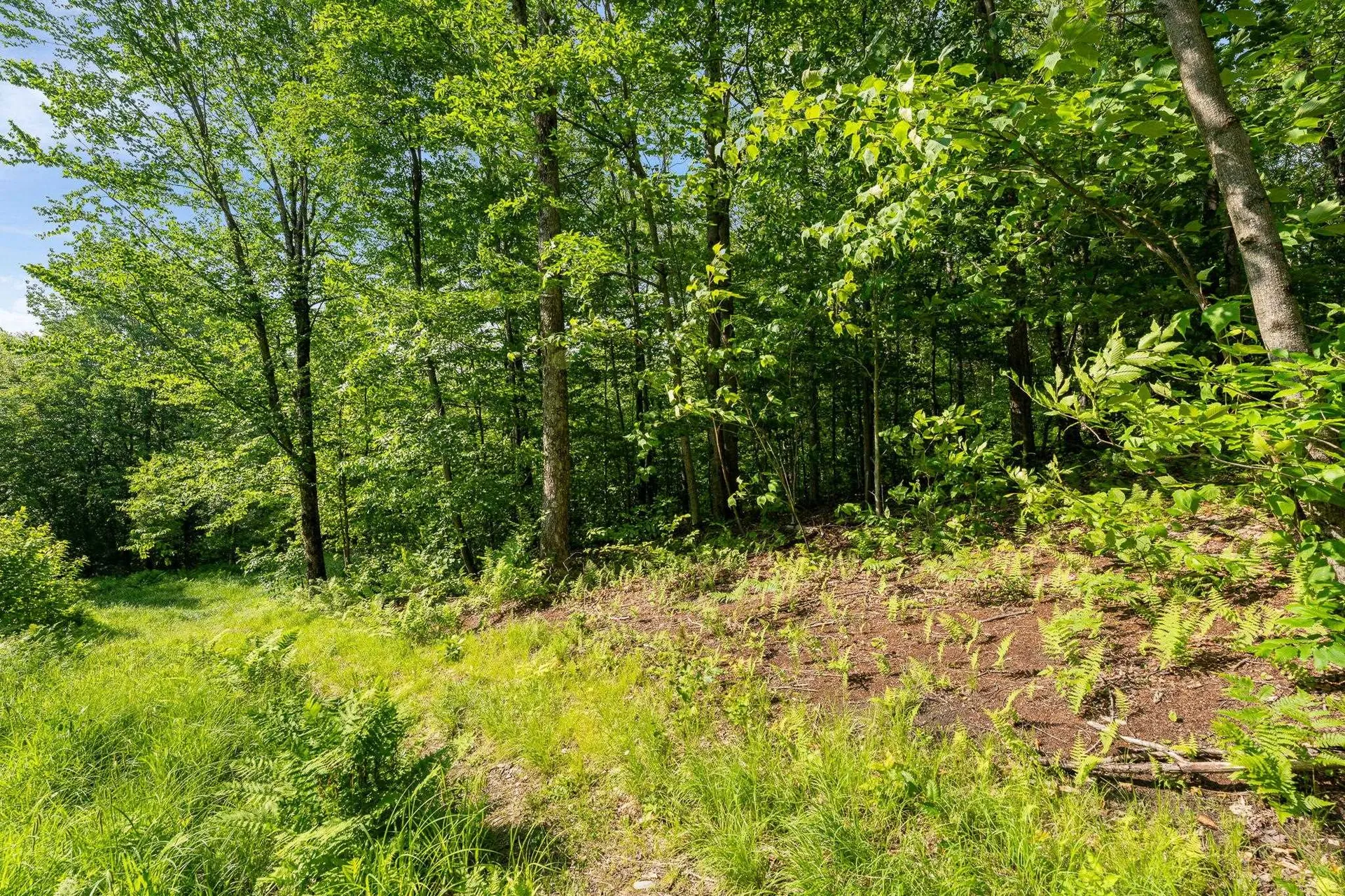 115 Stone Hill Road Bolton VT 05477