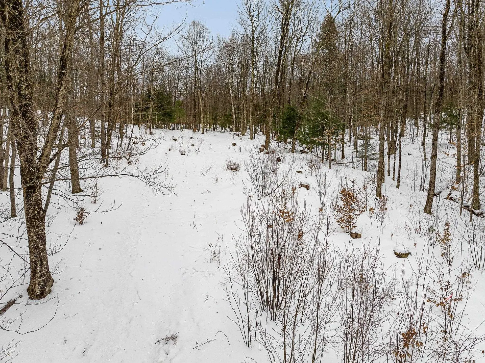 115 Stone Hill Road Bolton VT 05477