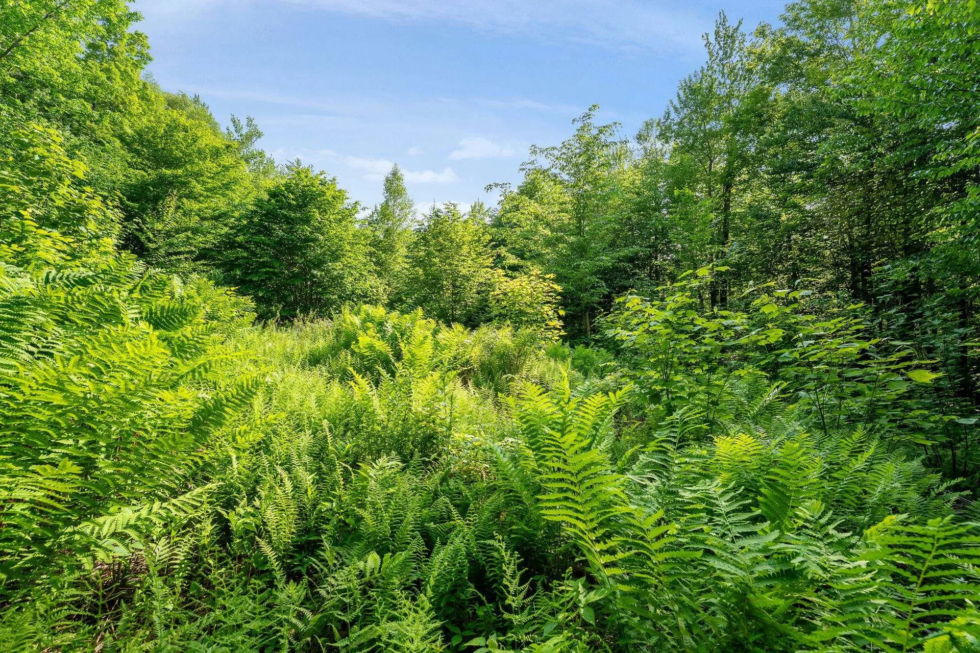 115 Stone Hill Road Bolton VT 05477