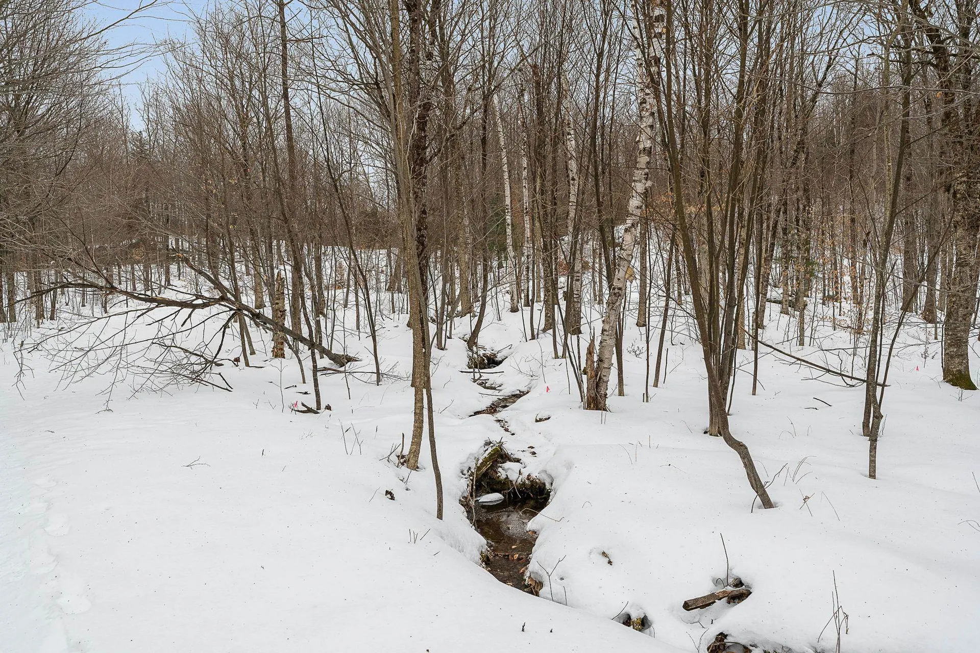 115 Stone Hill Road Bolton VT 05477