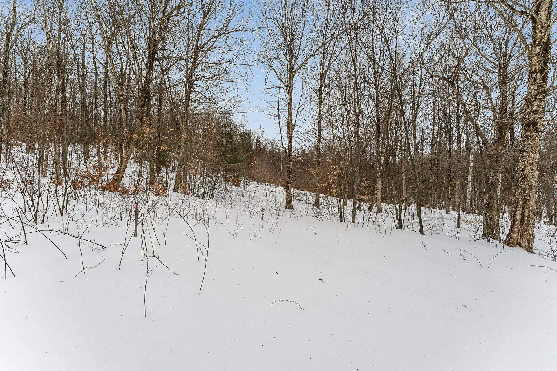 115 Stone Hill Road Bolton VT 05477