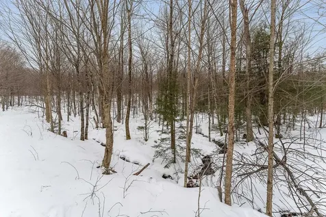 115 Stone Hill Road Bolton VT 05477