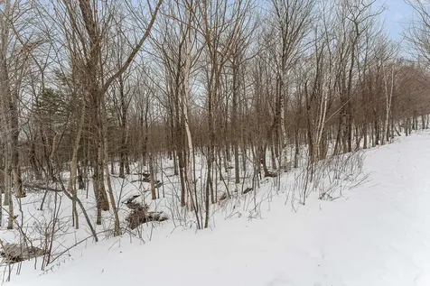 115 Stone Hill Road Bolton VT 05477