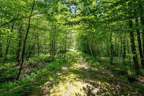 115 Stone Hill Road Bolton VT 05477