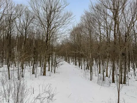 115 Stone Hill Road Bolton VT 05477