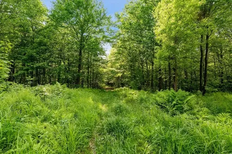 115 Stone Hill Road Bolton VT 05477