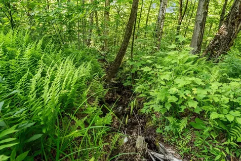 115 Stone Hill Road Bolton VT 05477