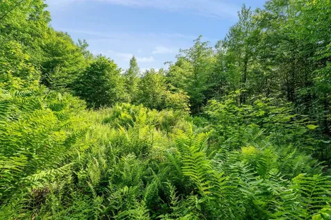 115 Stone Hill Road Bolton VT 05477