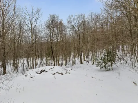 115 Stone Hill Road Bolton VT 05477