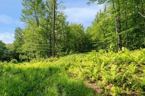 115 Stone Hill Road Bolton VT 05477