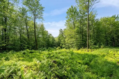 115 Stone Hill Road Bolton VT 05477