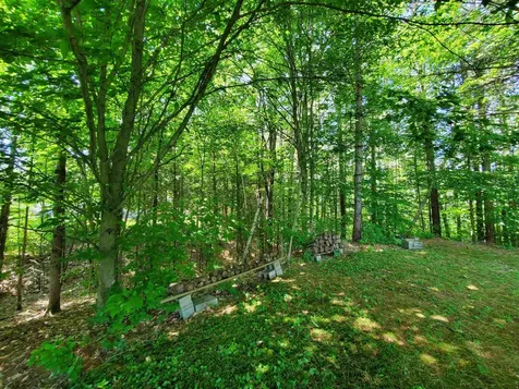 381 Cross Avenue St. Johnsbury VT 05819
