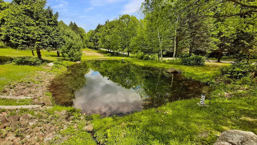 4150 Trebo Road Chester VT 05143