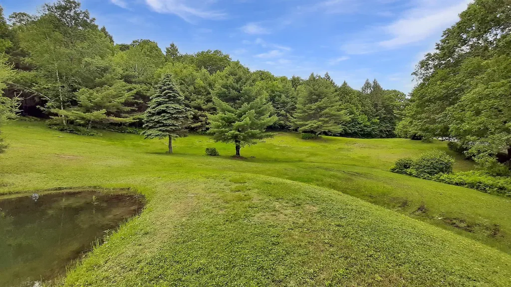 4150 Trebo Road Chester VT 05143