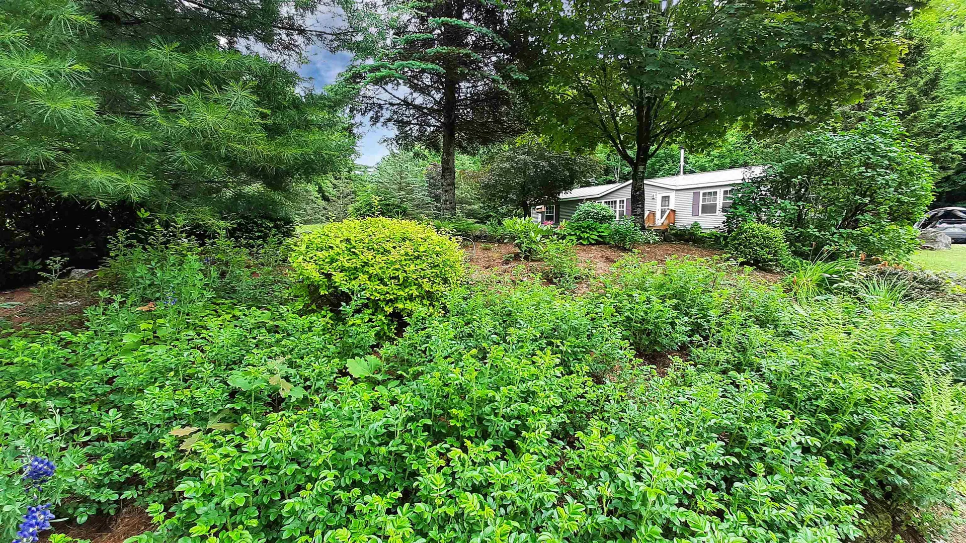 4150 Trebo Road Chester VT 05143