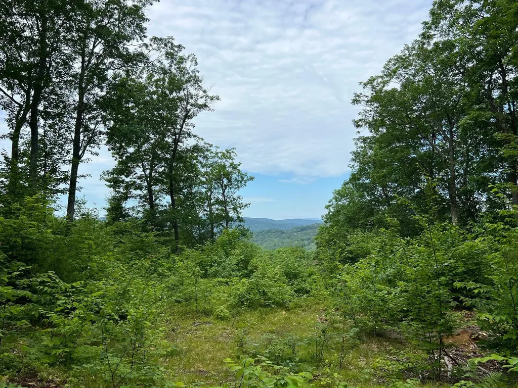 12 Peaked Hill Road Ashland NH 03217