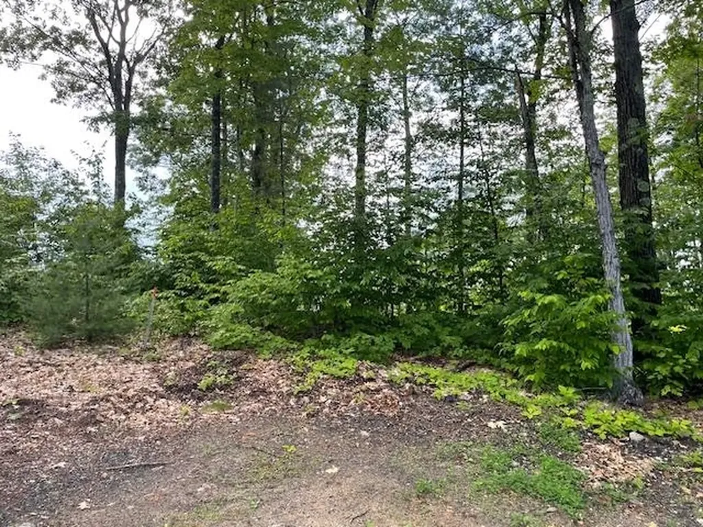 12 Peaked Hill Road Ashland NH 03217