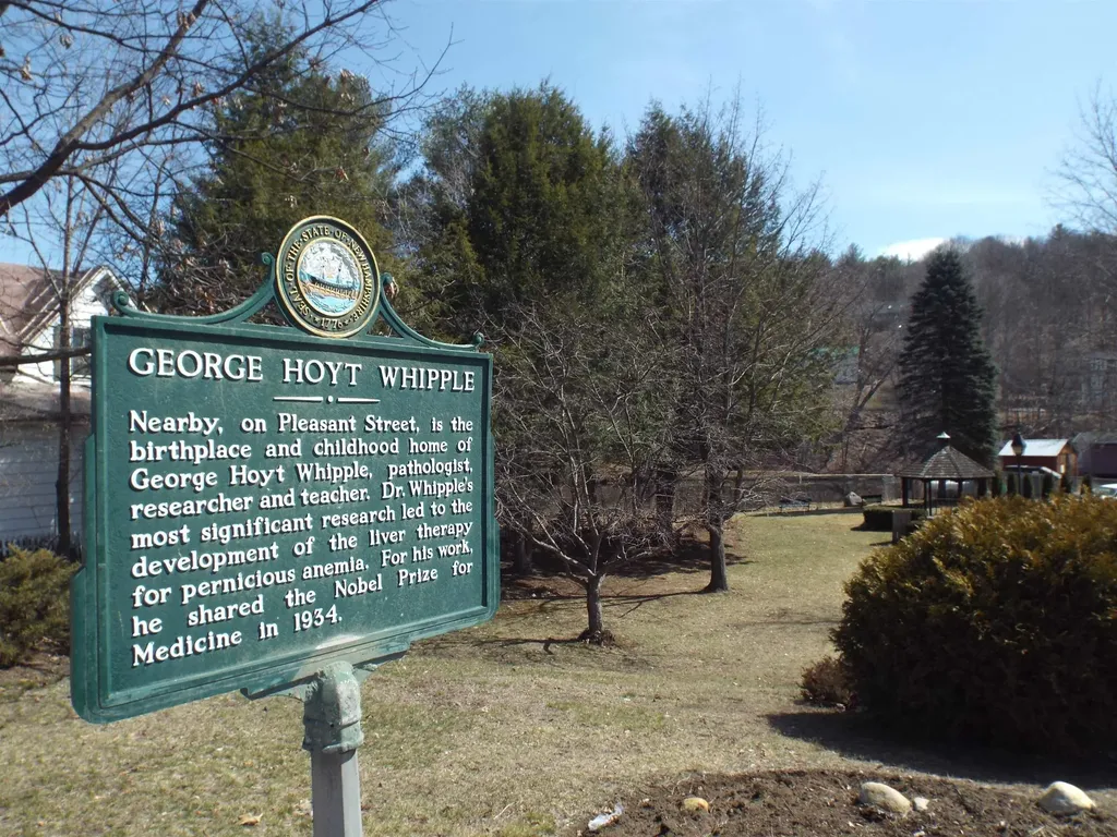 12 Peaked Hill Road Ashland NH 03217