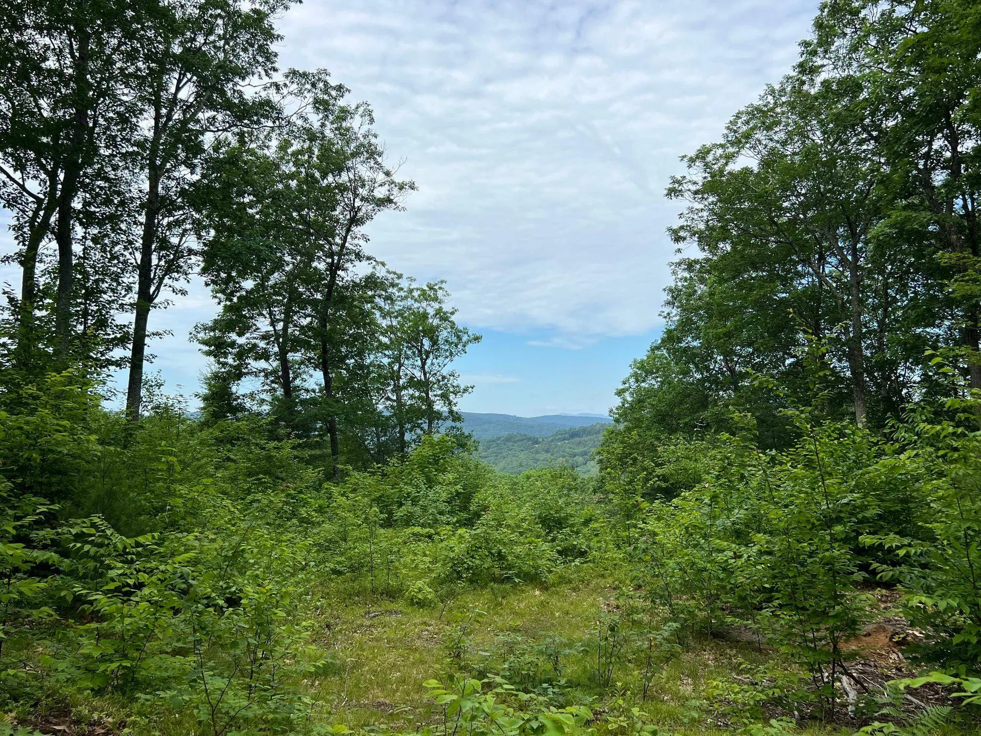 12 Peaked Hill Road Ashland NH 03217