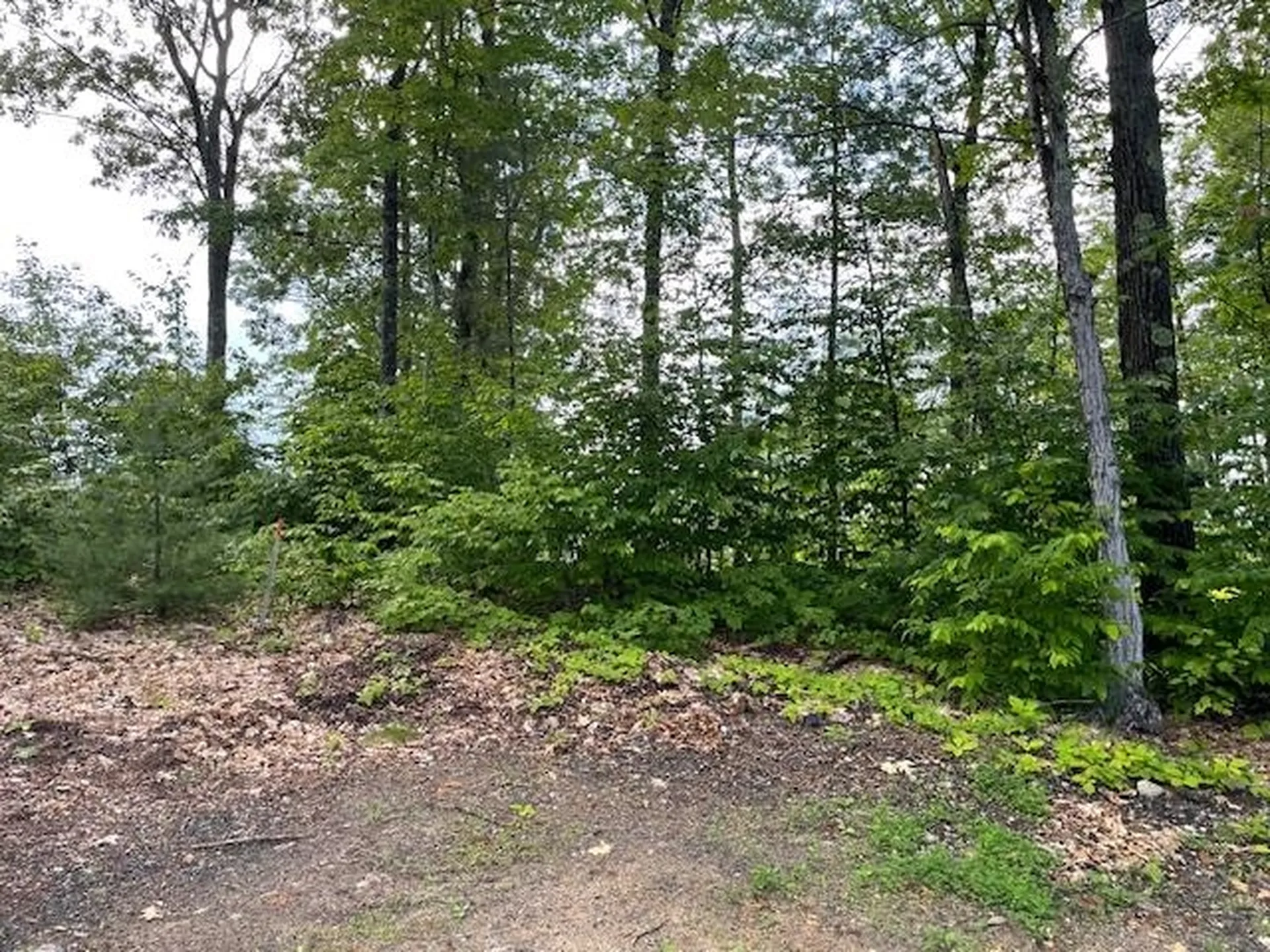 12 Peaked Hill Road Ashland NH 03217