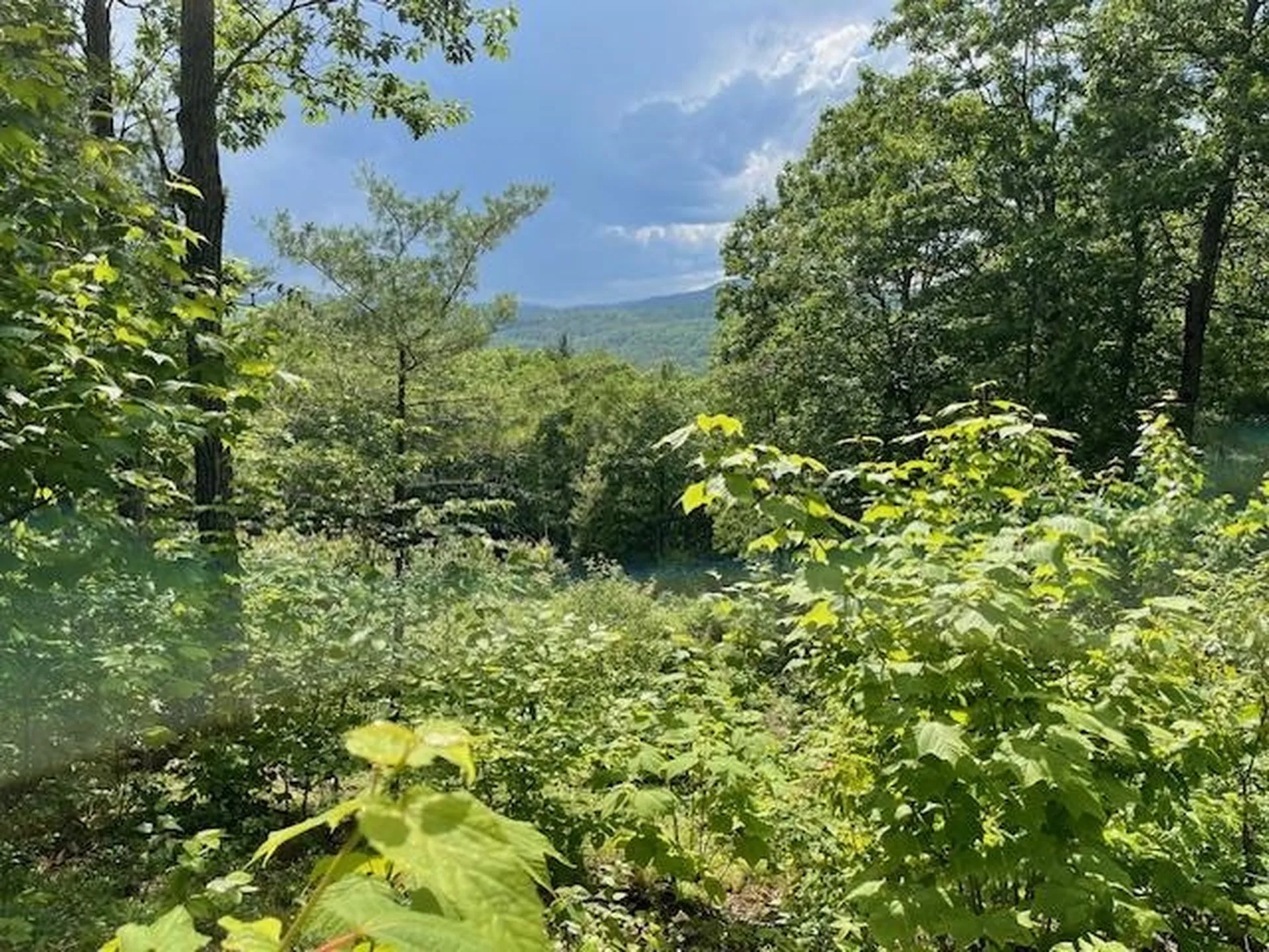 12 Peaked Hill Road Ashland NH 03217