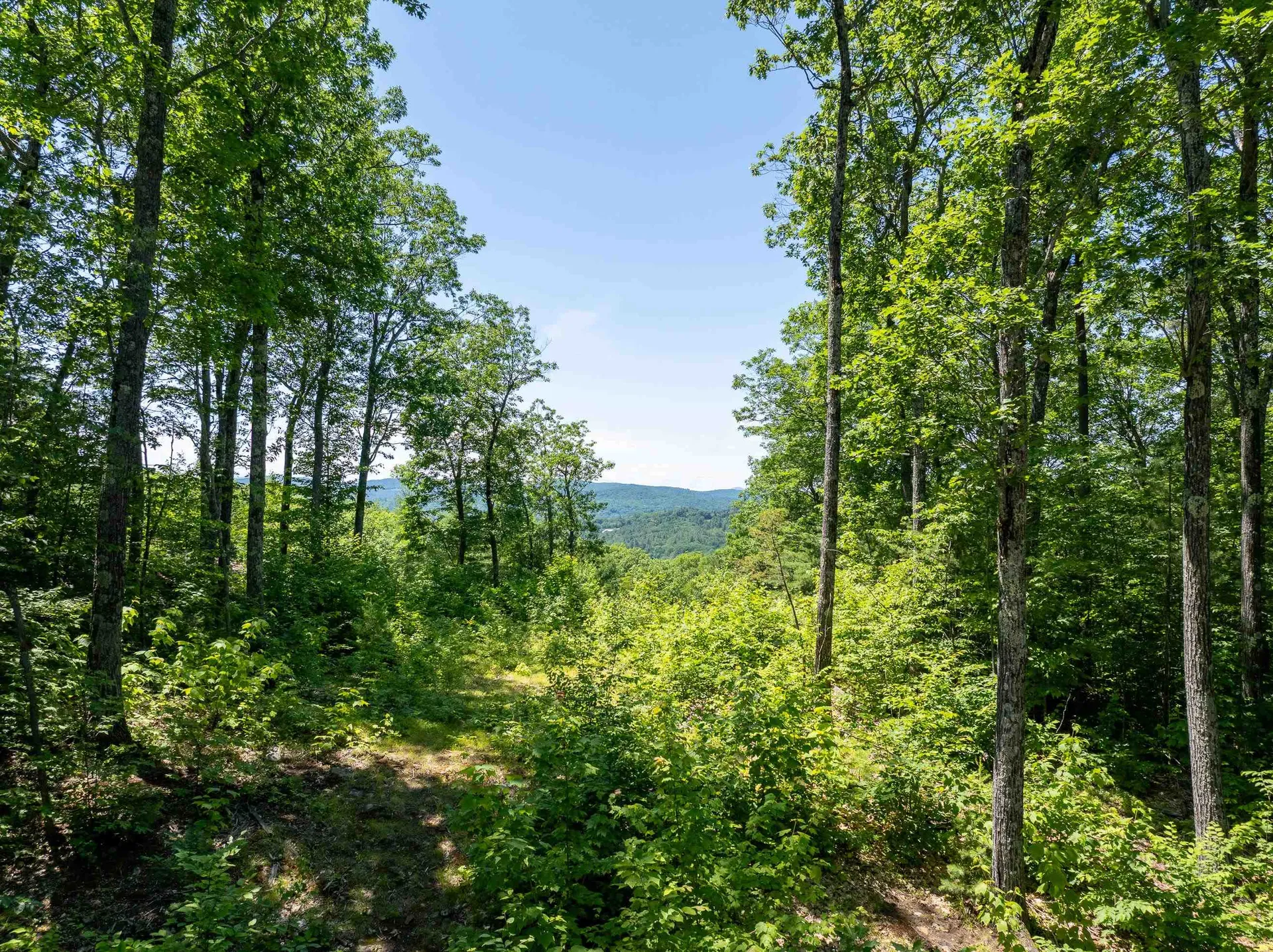 12 Peaked Hill Road Ashland NH 03217