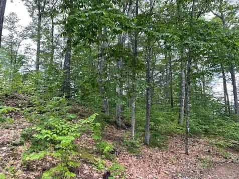 12 Peaked Hill Road Ashland NH 03217