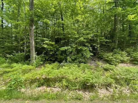 12 Peaked Hill Road Ashland NH 03217