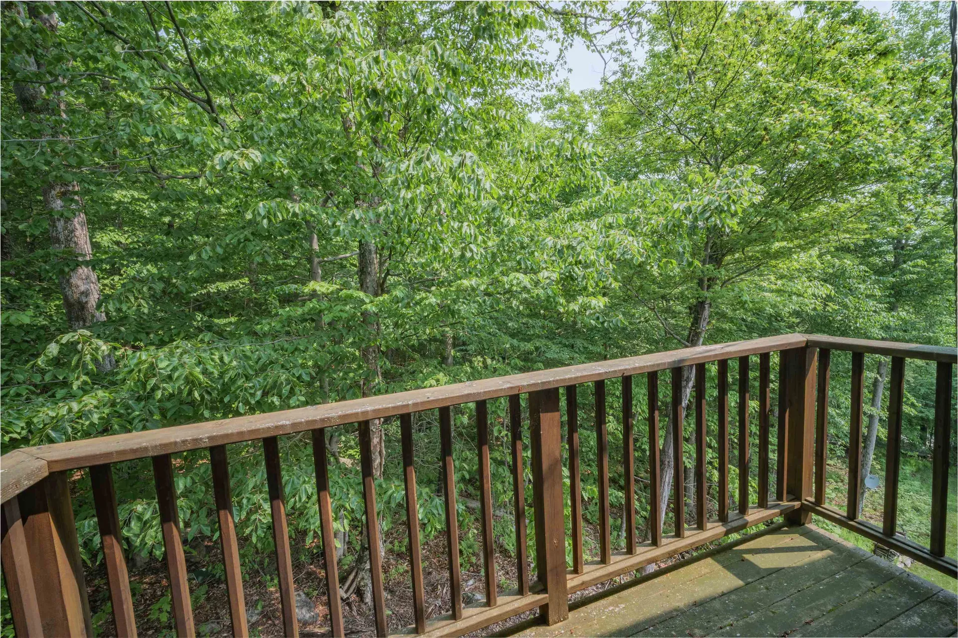 46 Scattered Timber Road Wilmington VT 05363