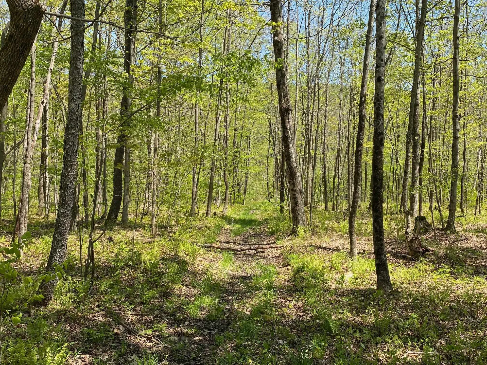 00 East Road Tinmouth VT 05773