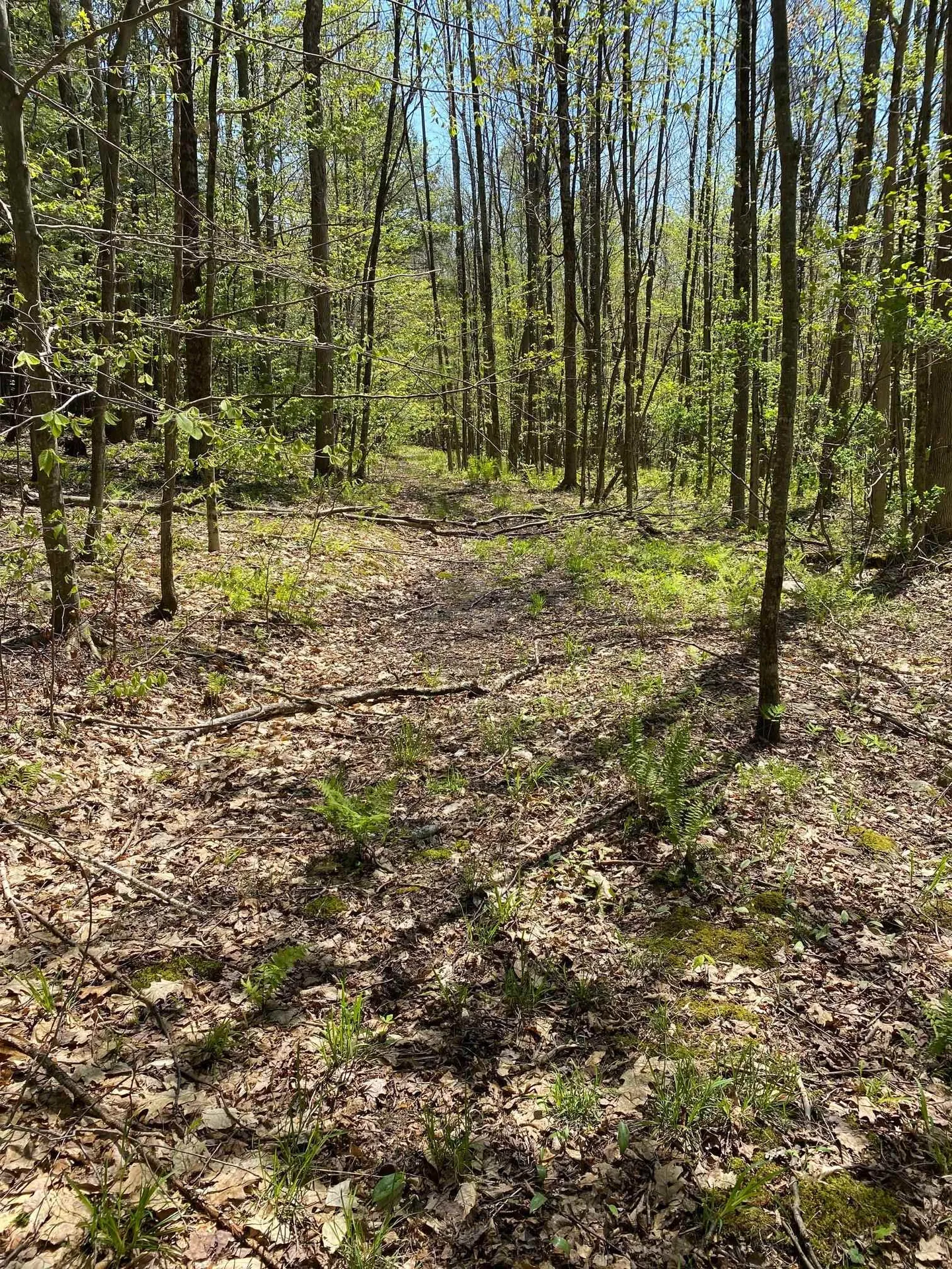 00 East Road Tinmouth VT 05773