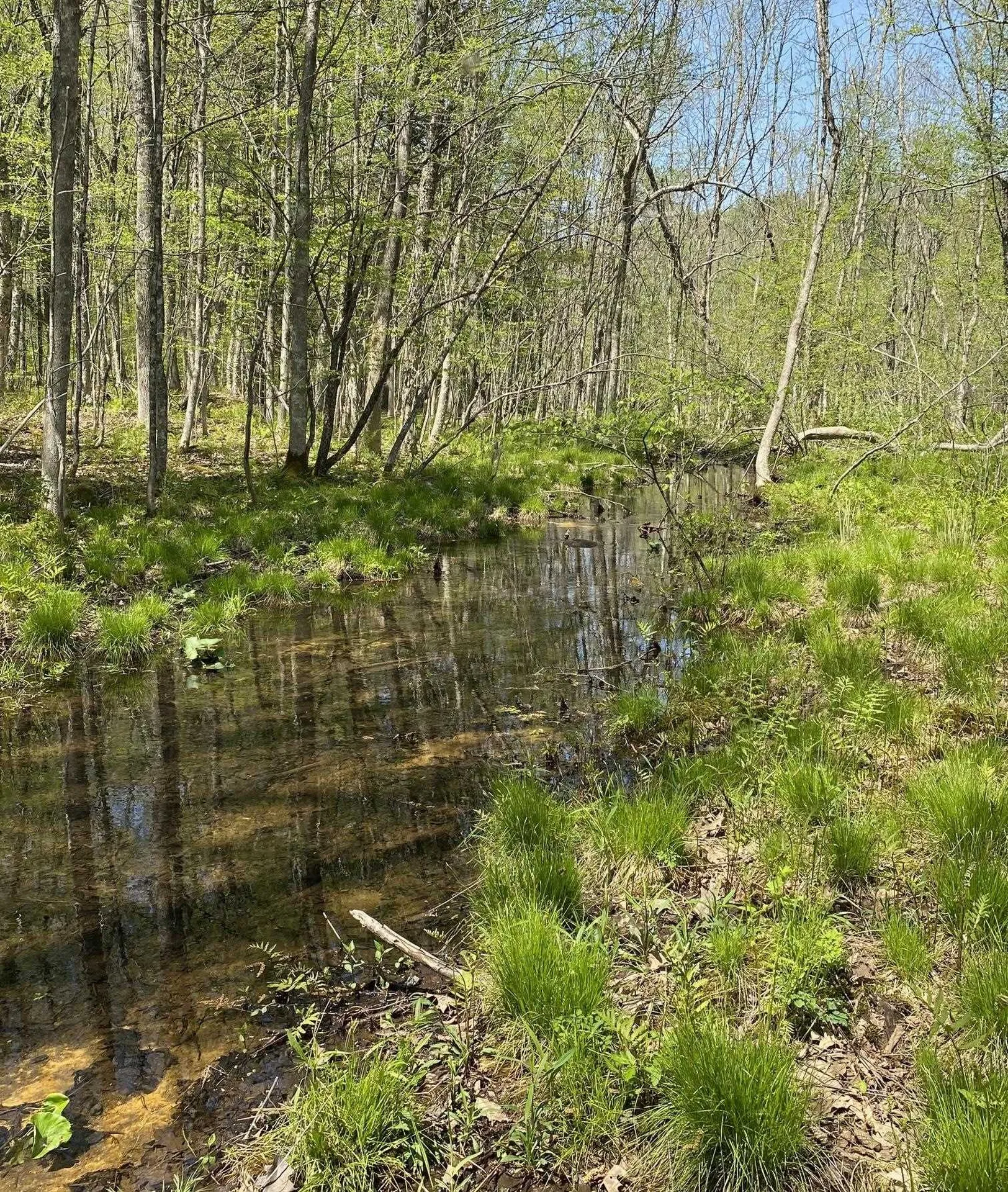 00 East Road Tinmouth VT 05773