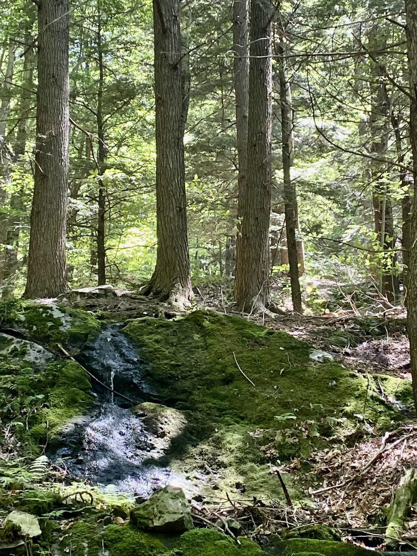 00 East Road Tinmouth VT 05773