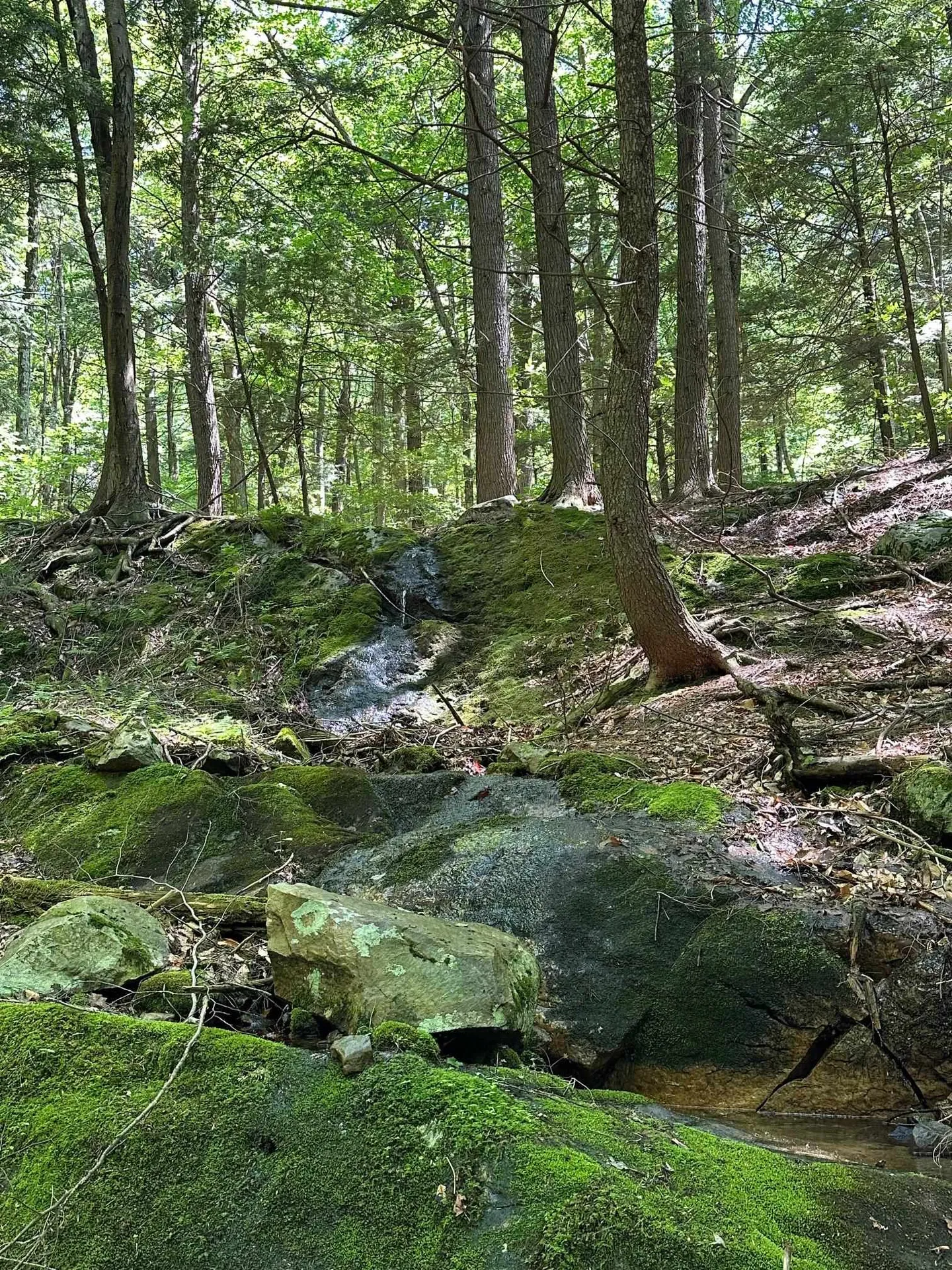 00 East Road Tinmouth VT 05773