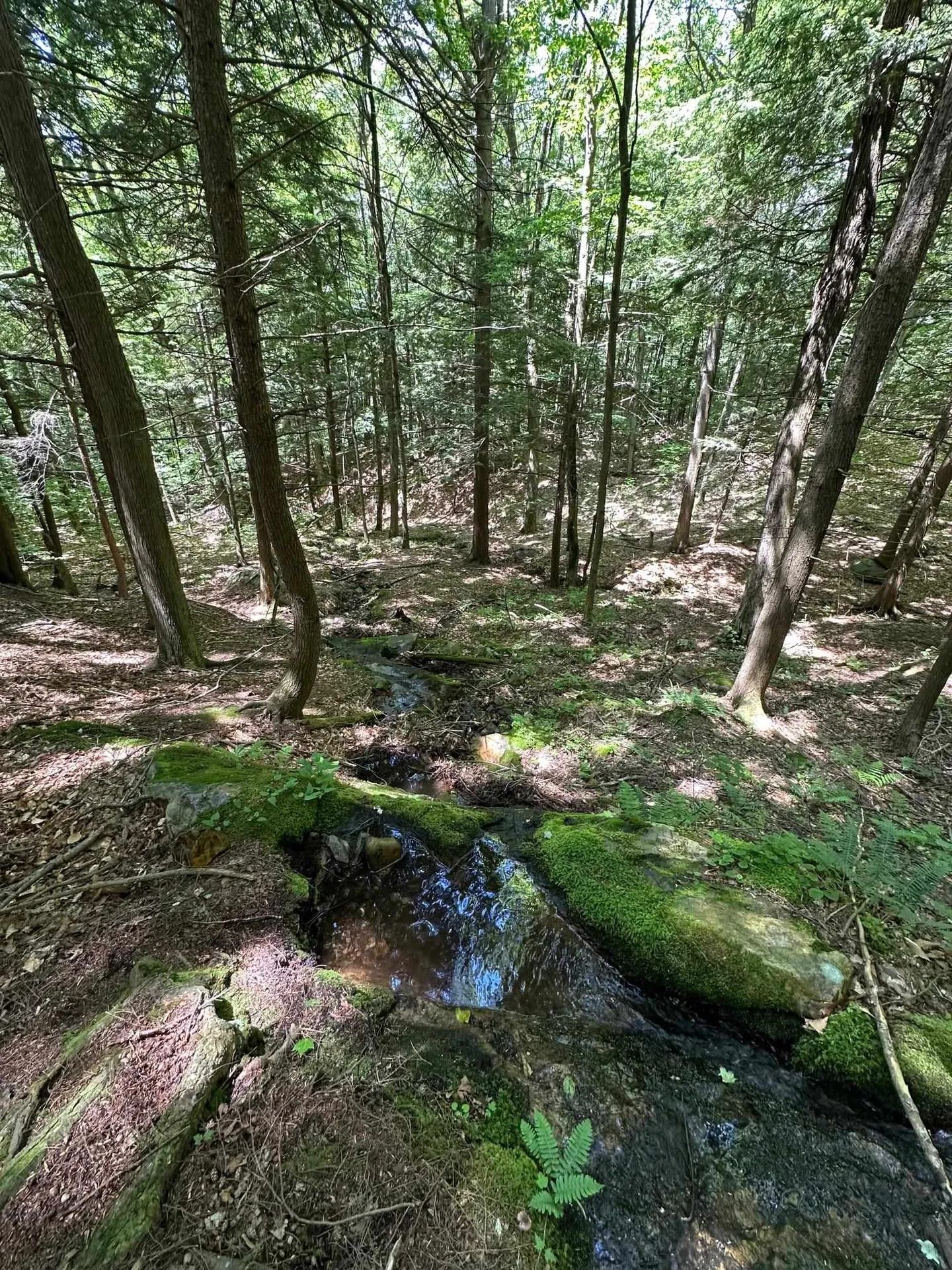 00 East Road Tinmouth VT 05773