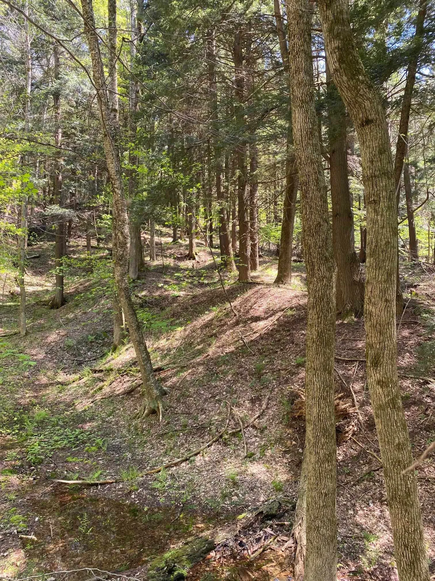 00 East Road Tinmouth VT 05773